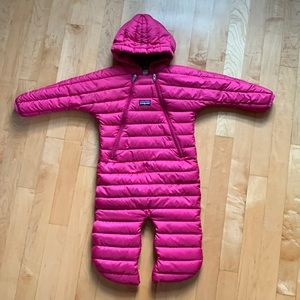 Patagonia Down Bunting